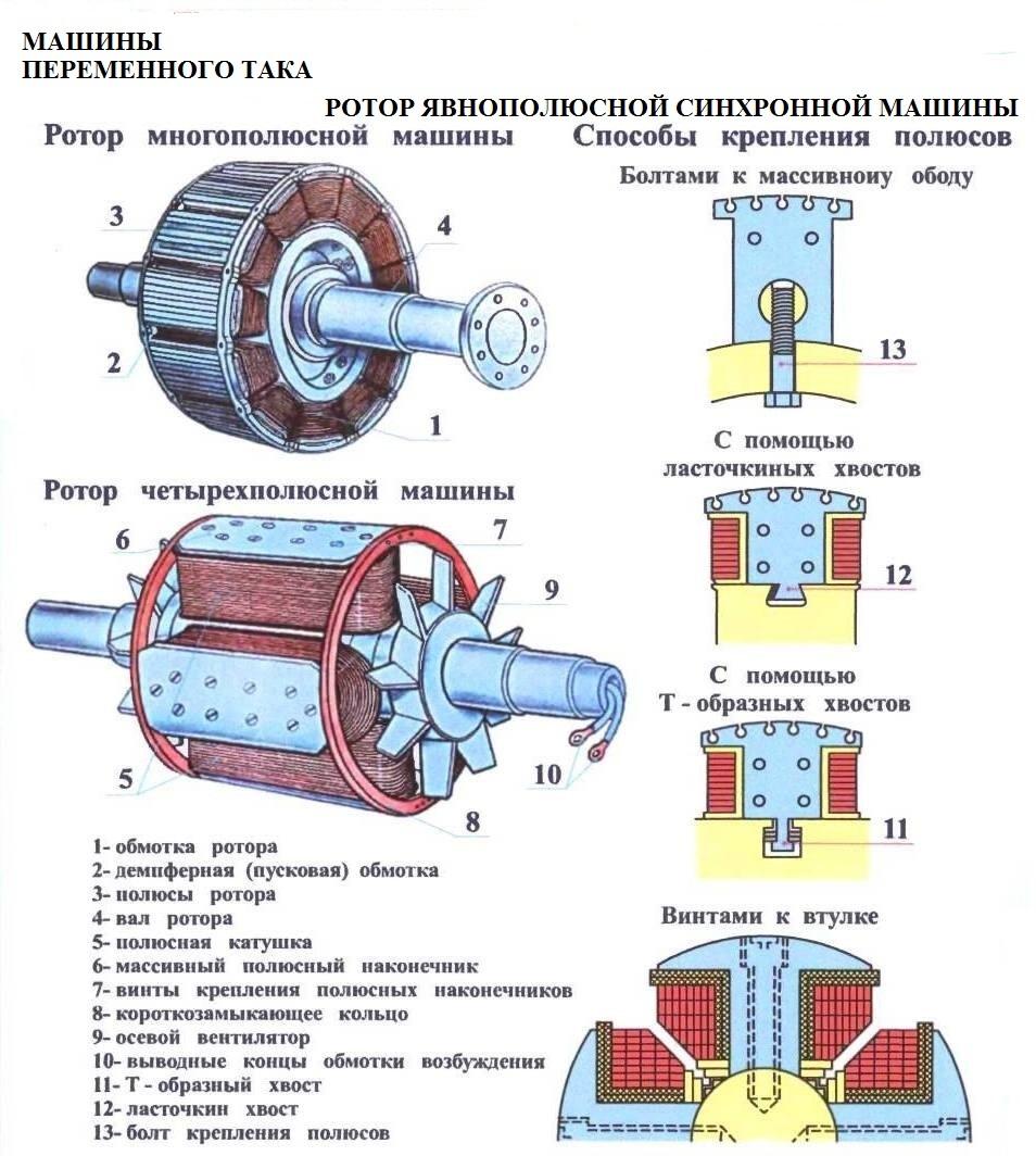 Полюса обмотки ротора синхронной машины на рисунке