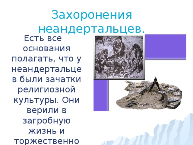 Захоронения неандертальцев. Есть все основания полагать, что у неандертальцев были зачатки религиозной культуры. Они верили в загробную жизнь и торжественно погребали своих умерших собратьев. 