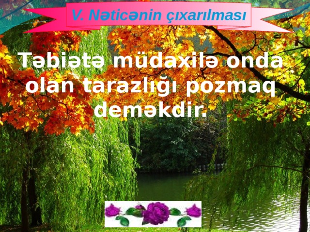 V. Nəticənin çıxarılması  Təbiətə müdaxilə onda olan tarazlığı pozmaq deməkdir. 