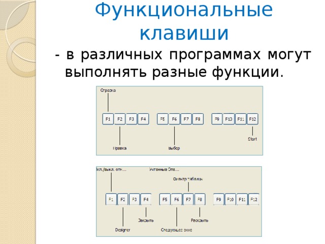 Функциональные клавиши - в различных программах могут выполнять разные функции. 