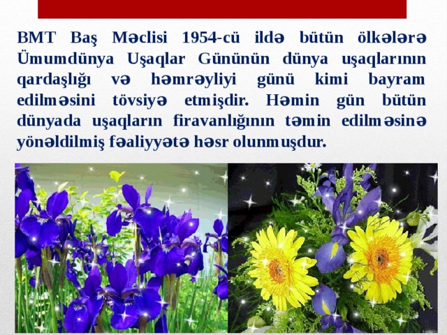 BMT Baş Məclisi 1954-cü ildə bütün ölkələrə Ümumdünya Uşaqlar Gününün dünya uşaqlarının qardaşlığı və həmrəyliyi günü kimi bayram edilməsini tövsiyə etmişdir. Həmin gün bütün dünyada uşaqların firavanlığının təmin edilməsinə yönəldilmiş fəaliyyətə həsr olunmuşdur. 