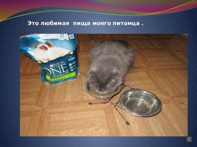 Это любимая пища моего питомца . 