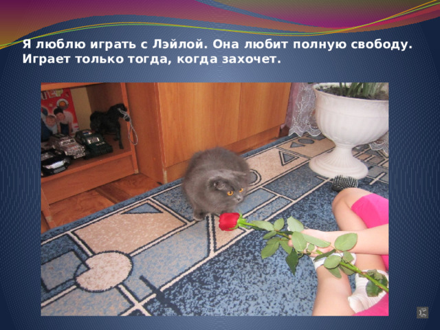 Я люблю играть с Лэйлой. Она любит полную свободу. Играет только тогда, когда захочет. 