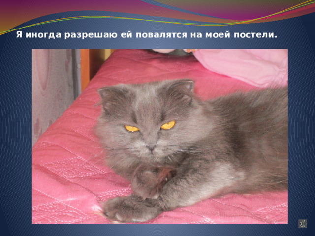 Я иногда разрешаю ей повалятся на моей постели. 