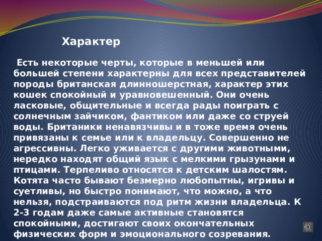   Характер  Есть некоторые черты, которые в меньшей или большей степени характерны для всех представителей породы британская длинношерстная, характер этих кошек спокойный и уравновешенный. Они очень ласковые, общительные и всегда рады поиграть с солнечным зайчиком, фантиком или даже со струей воды. Британики ненавязчивы и в тоже время очень привязаны к семье или к владельцу. Совершенно не агрессивны. Легко уживается с другими животными, нередко находят общий язык с мелкими грызунами и птицами. Терпеливо относятся к детским шалостям. Котята часто бывают безмерно любопытны, игривы и суетливы, но быстро понимают, что можно, а что нельзя, подстраиваются под ритм жизни владельца. К 2-3 годам даже самые активные становятся спокойными, достигают своих окончательных физических форм и эмоционального созревания.  Источник:  https://usatiki.ru/britanskaya-dlinnosherstnaya-koshka-haylender/ 