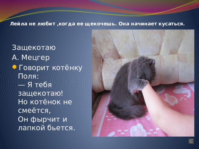 Лейла не любит ,когда ее щекочешь. Она начинает кусаться. Защекотаю А. Мецгер Говорит котёнку Поля:  — Я тебя защекотаю!  Но котёнок не смеётся,  Он фырчит и лапкой бьется. 