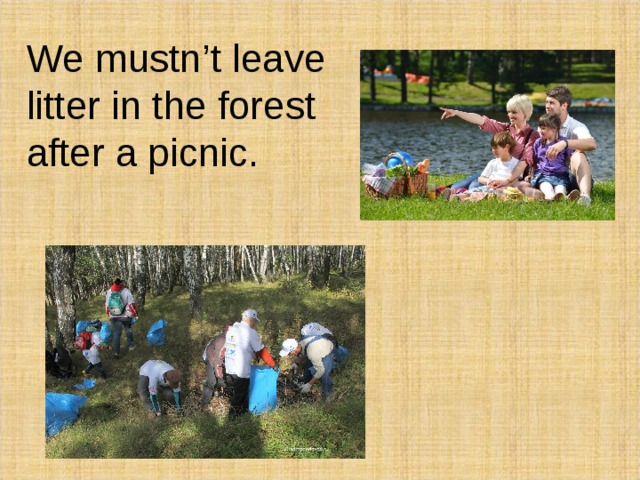 We mustn’t leave litter in the forest after a picnic. 