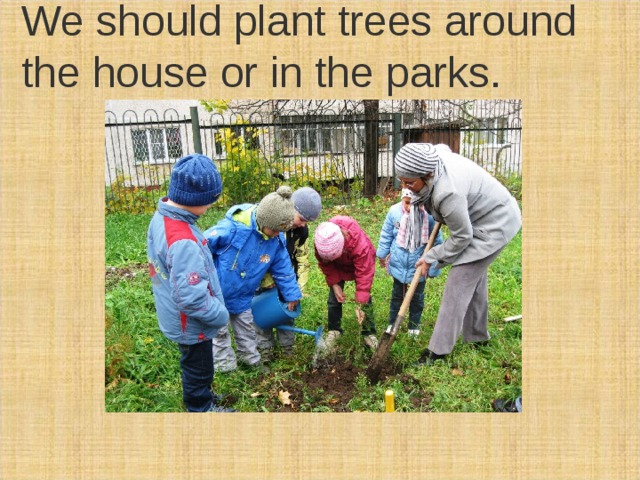 We should plant trees around the house or in the parks. 