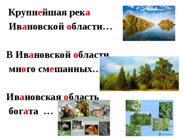  Крупн е йшая рек а  Ив а новской о бласти…  В Ив а новской о бласти  мн о го см е шанных……  Ив а новская о бласть  бог а та …  