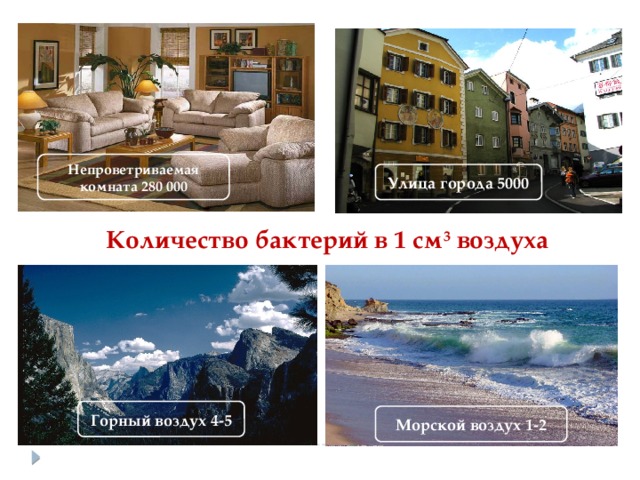 Непроветриваемая комната 280 000 Улица города 5000 Количество бактерий в 1 см 3 воздуха Горный воздух 4-5 Морской воздух 1-2 