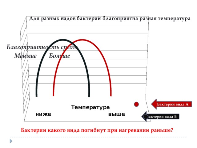 Бактерии вида А Бактерии вида Б Бактерии какого вида погибнут при нагревании раньше? 