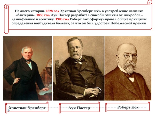 Немного истории. 1828 год Христиан Эренберг ввёл в употребление название «бактерии». 1850 год Луи Пастер разработал способы защиты от микробов – дезинфекцию и асептику. 1905 год Роберт Кох сформулировал общие принципы определения возбудителя болезни, за что он был удостоен Нобелевской премии Христиан Эренберг Роберт Кох Луи Пастер 