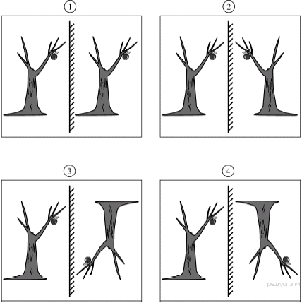 На каком из рисунков правильно построено изображение предмета в плоском зеркале