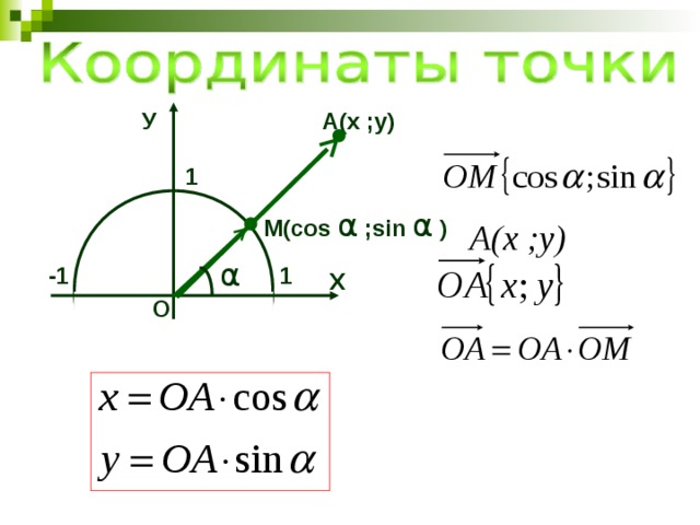 А(х ;у) У 1 М(cos α ;sin α ) А(х ;у) α 1 -1 Х О 