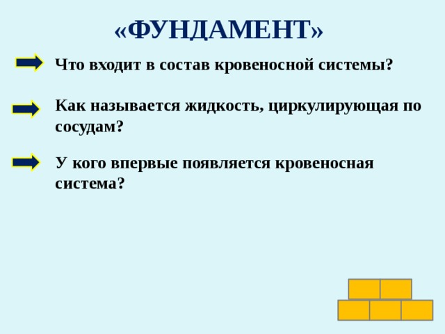 «ФУНДАМЕНТ» Какие функции осуществляет пищеварительная система? Что входит в состав кровеносной системы? В каком направлении шла эволюция пищеварительной системы? Как называется жидкость, циркулирующая по сосудам? Какую функцию выполняет выделительная система? У кого впервые появляется кровеносная система? Чем отличается понятие «дыхание» и «газообмен» ? Для чего аэробным организмам необходим кислород? Откуда берётся углекислый газ? Дышат ли одноклеточные животные? 