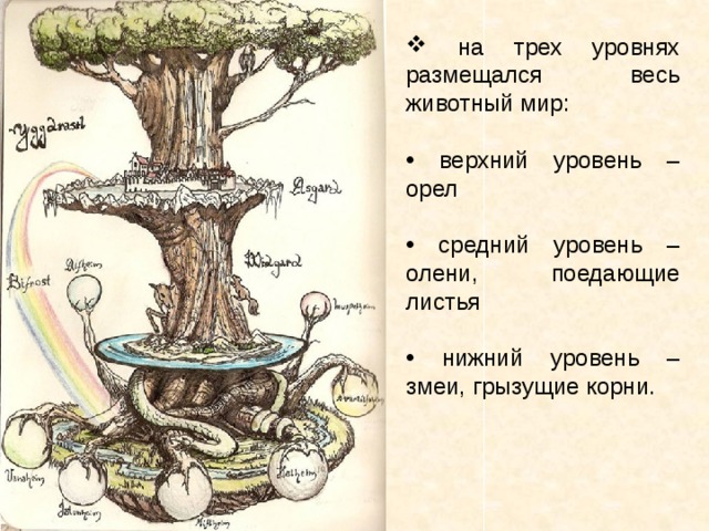  на трех уровнях размещался весь животный мир:  верхний уровень – орел  средний уровень – олени, поедающие листья  нижний уровень – змеи, грызущие корни.   