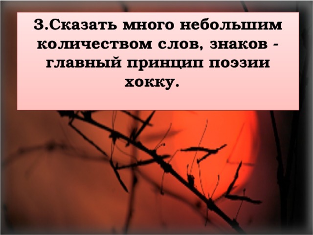 3.Сказать много небольшим количеством слов, знаков - главный принцип поэзии хокку.   