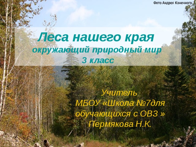 Леса нашего края окружающий природный мир 3 класс Учитель МБОУ «Школа №7для обучающихся с ОВЗ » Пермякова Н.К. 