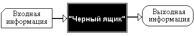 Черным ящиком в организации управления проектом называют