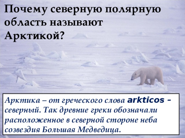 Почему северную полярную область называют Арктикой? Арктика – от греческого слова arkticos – северный. Так древние греки обозначали расположенное в северной стороне неба созвездия Большая Медведица.  