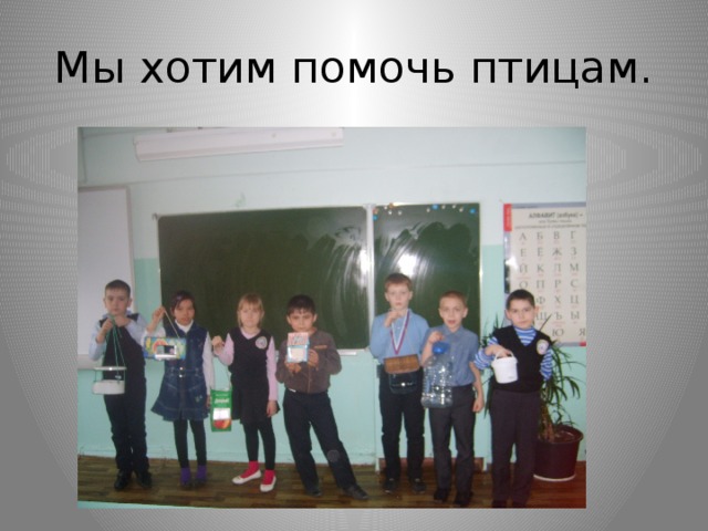 Мы хотим помочь птицам. 