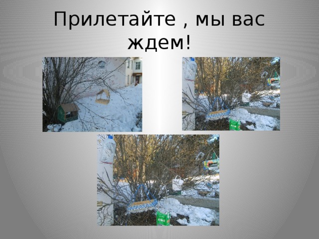 Прилетайте , мы вас ждем! 