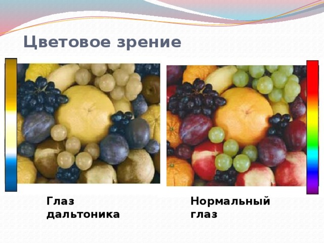 окрашивать волосы как видят дальтоники цвета фото что умер передозировки