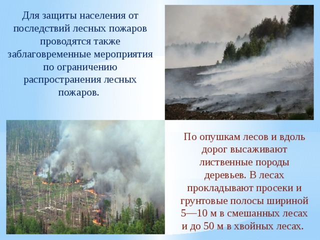 Профилактика пожаров в повседневной жизни и организация защиты населения 8 класс обж презентация