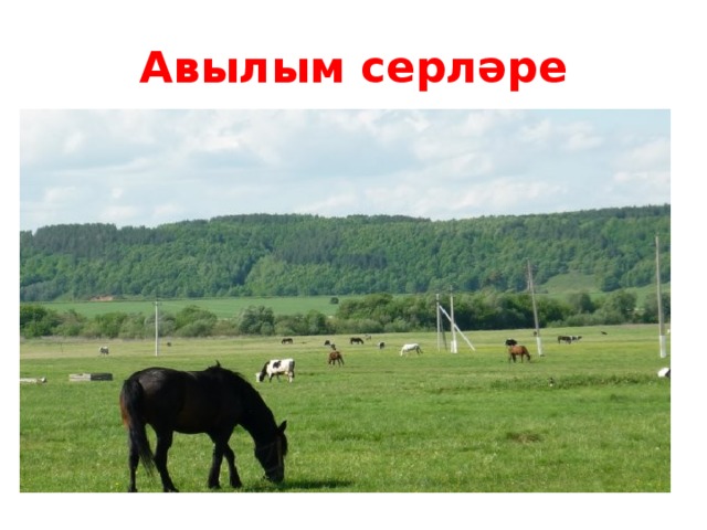 Авылым серләре   