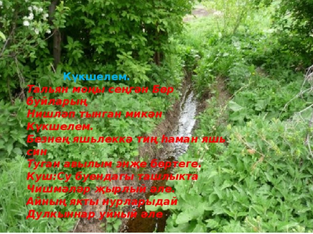  Күкшелем.  Тальян моңы сеңгән Бөр буйларың  Нишләп тынган микән Күкшелем.  Безнең яшьлеккә тиң һаман яшь син  Туган авылым энҗе бөртеге.  Куш:Су буендагы ташлыкта  Чишмәләр җырлый әле.  Айның якты нурларыдай  Дулкыннар уйный әле   