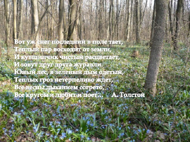 Весна – пора возрождения, любви, надежды. Многие русские классики посвящали свои произведения весне . 
