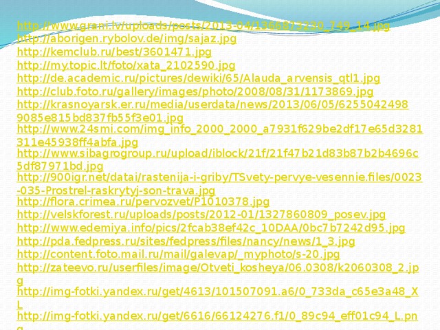 http://www.grani.lv/uploads/posts/2013-04/1366873230_749_14.jpg http://aborigen.rybolov.de/img/sajaz.jpg http://kemclub.ru/best/3601471.jpg http://my.topic.lt/foto/xata_2102590.jpg http://de.academic.ru/pictures/dewiki/65/Alauda_arvensis_qtl1.jpg http://club.foto.ru/gallery/images/photo/2008/08/31/1173869.jpg http://krasnoyarsk.er.ru/media/userdata/news/2013/06/05/62550424989085e815bd837fb55f3e01.jpg http://www.24smi.com/img_info_2000_2000_a7931f629be2df17e65d3281311e45938ff4abfa.jpg http://www.sibagrogroup.ru/upload/iblock/21f/21f47b21d83b87b2b4696c5df87971bd.jpg http://900igr.net/datai/rastenija-i-griby/TSvety-pervye-vesennie.files/0023-035-Prostrel-raskrytyj-son-trava.jpg http://flora.crimea.ru/pervozvet/P1010378.jpg http://velskforest.ru/uploads/posts/2012-01/1327860809_posev.jpg http://www.edemiya.info/pics/2fcab38ef42c_10DAA/0bc7b7242d95.jpg http://pda.fedpress.ru/sites/fedpress/files/nancy/news/1_3.jpg http://content.foto.mail.ru/mail/galevap/_myphoto/s-20.jpg http://zateevo.ru/userfiles/image/Otveti_kosheya/06.0308/k2060308_2.jpg http://img-fotki.yandex.ru/get/4613/101507091.a6/0_733da_c65e3a48_XL http://img-fotki.yandex.ru/get/6616/66124276.f1/0_89c94_eff01c94_L.png http://myzarya.ru/forum1/uploads/post-193-1156512187.jpg 