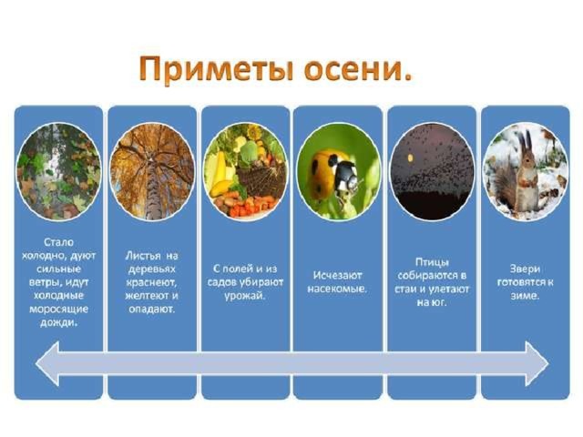 Сезонные изменения в жизни растений таблица. Осенние изменения в жизни животных. Изменения в жизни растений и животных осенью. Изменения животных осенью. Растения готовятся к зиме.