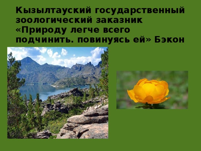 Кызылтауский государственный зоологический заказник  «Природу легче всего подчинить. повинуясь ей» Бэкон 