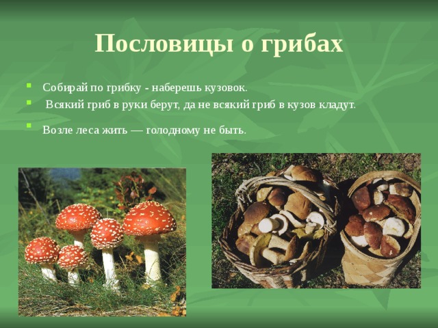 Пословицы о грибах Собирай по грибку - наберешь кузовок.  Всякий гриб в руки берут, да не всякий гриб в кузов кладут. Возле леса жить — голодному не быть.  