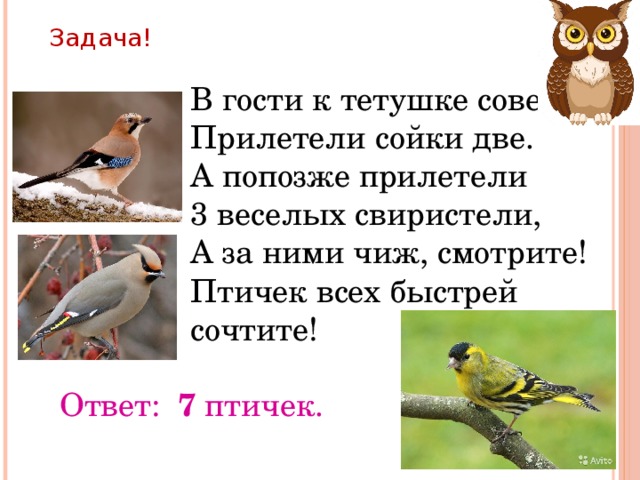 К чему Сойка прилетает к дому. К чему сойки прилетают на участок. Раз два прилетит Сова. К чему Сойка прилетает к окну.