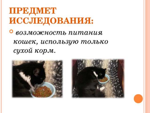 ПРЕДМЕТ ИССЛЕДОВАНИЯ:  возможность питания кошек, использую только сухой корм.  