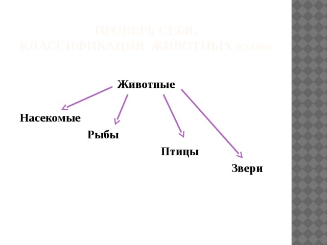 Животное живое существо схема 1 класс