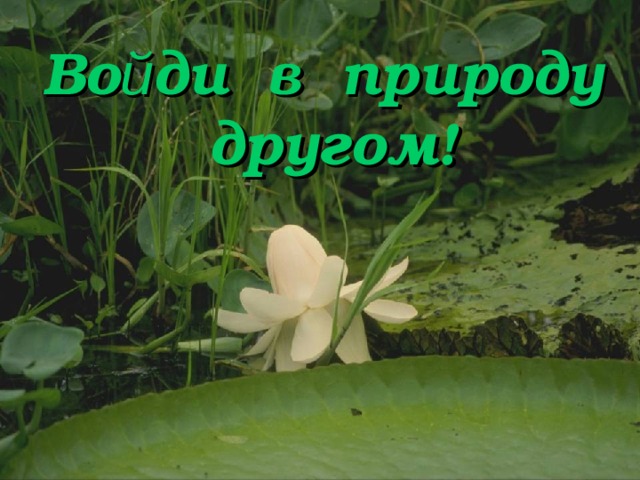 Во й ди в природу другом! 