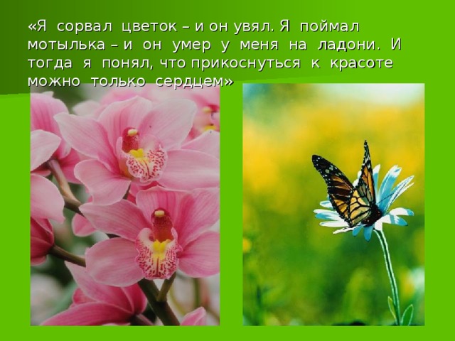 «Я сорвал цветок – и он увял. Я поймал мотылька – и он умер у меня на ладони. И тогда я понял, что прикоснуться к красоте можно только сердцем» 