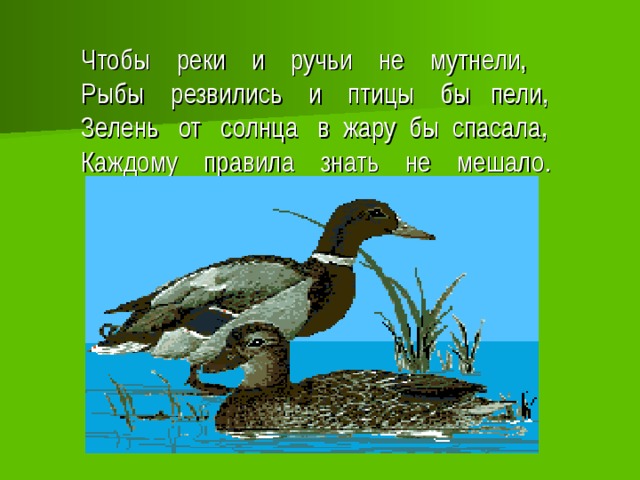 Чтобы реки и ручьи не мутнели,  Рыбы резвились и птицы бы пели,  Зелень от солнца в жару бы спасала,  Каждому правила знать не мешало.   