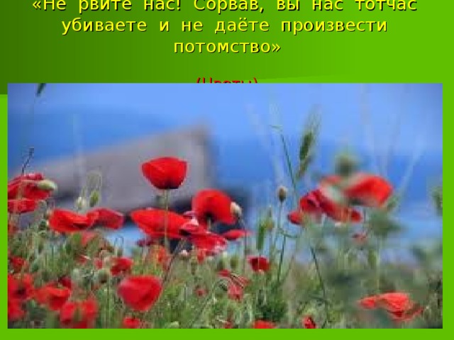 «Не рвите нас! Сорвав, вы нас тотчас убиваете и не даёте произвести потомство»   (Цветы) 