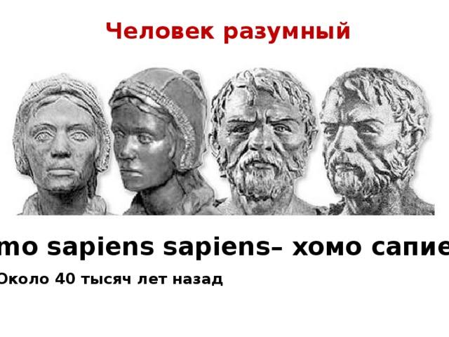 Человек разумный Homo sapiens sapiens– хомо сапиенс Около 40 тысяч лет назад   