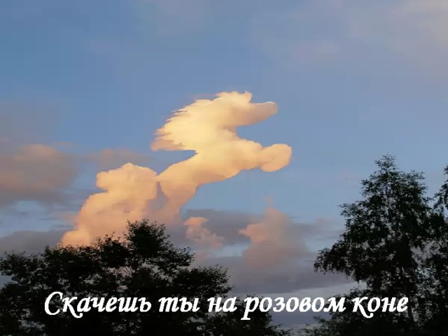 в ту страну,  где алый свет зари, 