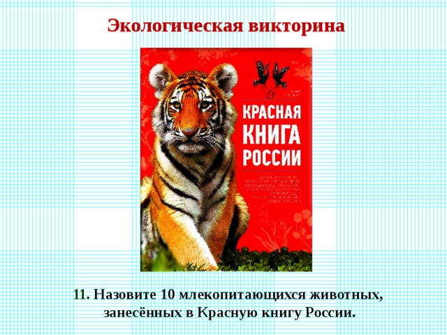 Викторина красная книга презентация