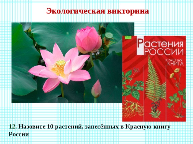 Экологическая викторина 12. Назовите 10 растений, занесённых в Красную книгу России 