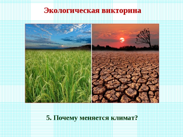 Экологическая викторина  5. Почему меняется климат? 