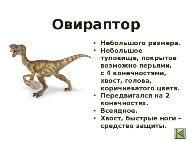 Сообщение о динозаврах 1 класс окружающий мир. Овираптор описание для детей. Всеядные динозавры. Овираптор динозавр. Овираптор интересные факты.