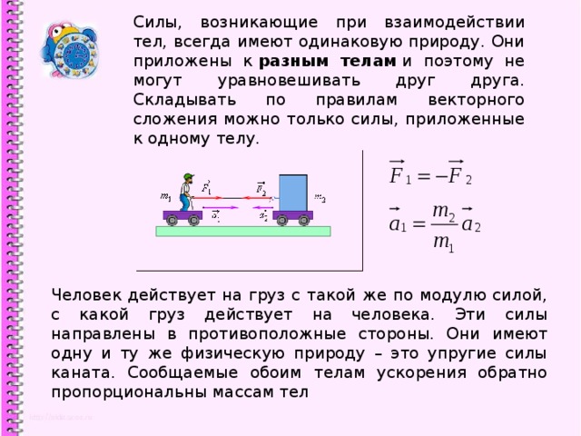 Определи на каком из рисунков силы взаимодействия тела и пружины изображены в соответствии с третьим