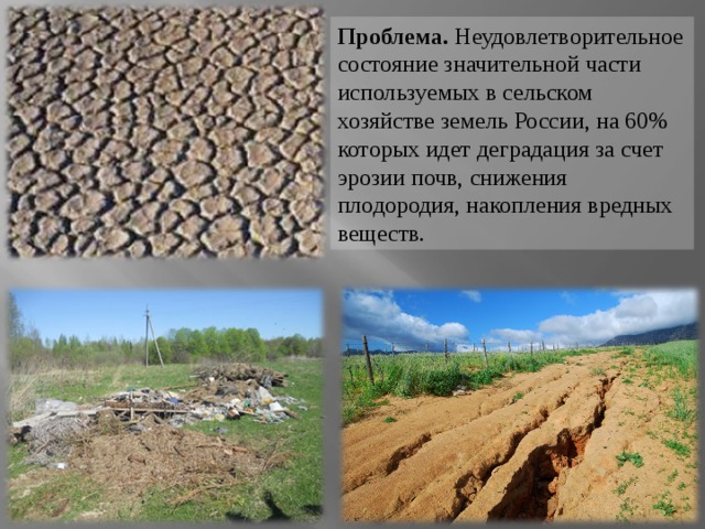 Проблема. Неудовлетворительное состояние значительной части используемых в сельском хозяйстве земель России, на 60% которых идет деградация за счет эрозии почв, снижения плодородия, накопления вредных веществ. 